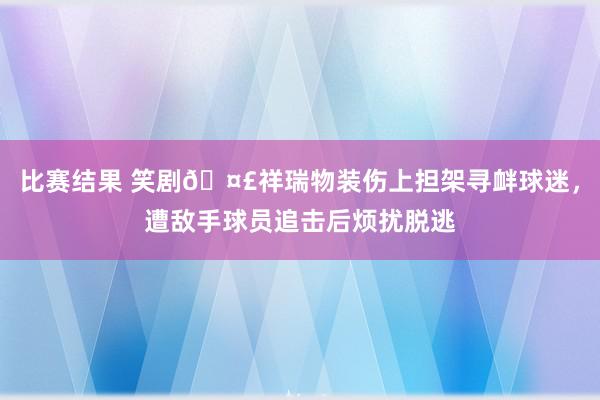 比赛结果 笑剧🤣祥瑞物装伤上担架寻衅球迷，遭敌手球员追击后烦扰脱逃