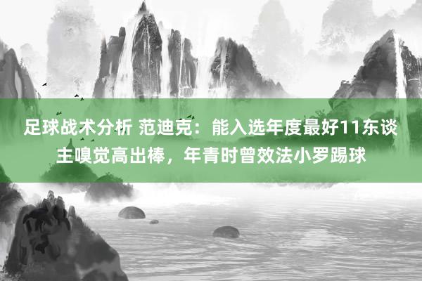 足球战术分析 范迪克：能入选年度最好11东谈主嗅觉高出棒，年青时曾效法小罗踢球