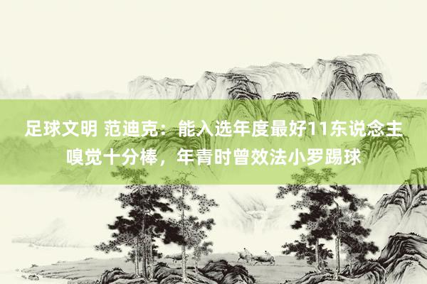 足球文明 范迪克：能入选年度最好11东说念主嗅觉十分棒，年青时曾效法小罗踢球