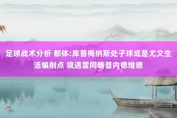 足球战术分析 都体:库普梅纳斯处子球或是尤文生活编削点 境遇雷同畴昔内德维德