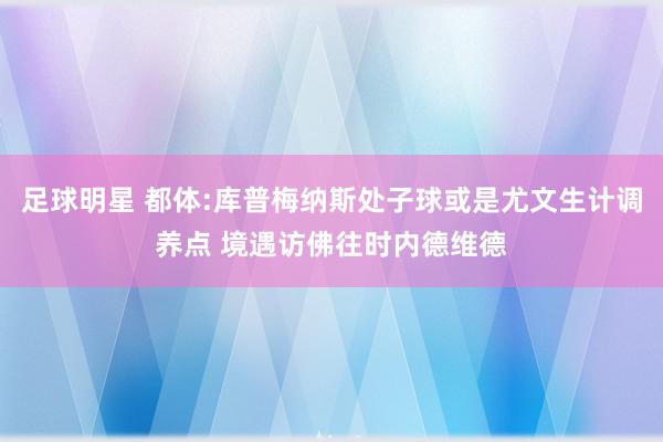 足球明星 都体:库普梅纳斯处子球或是尤文生计调养点 境遇访佛往时内德维德