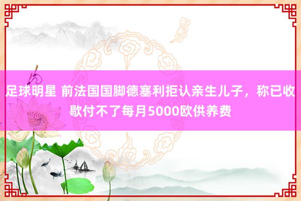 足球明星 前法国国脚德塞利拒认亲生儿子，称已收歇付不了每月5000欧供养费