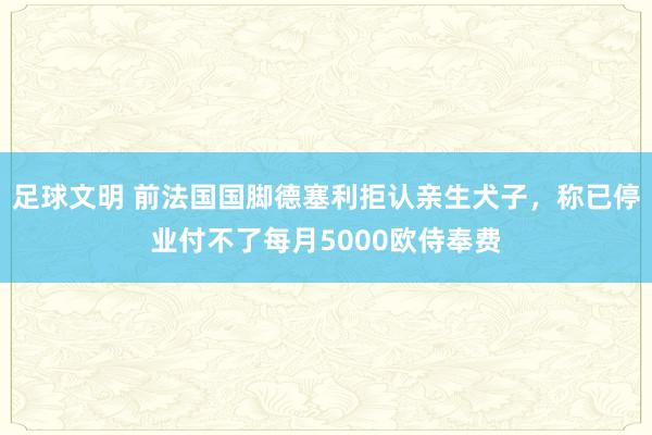 足球文明 前法国国脚德塞利拒认亲生犬子，称已停业付不了每月5000欧侍奉费