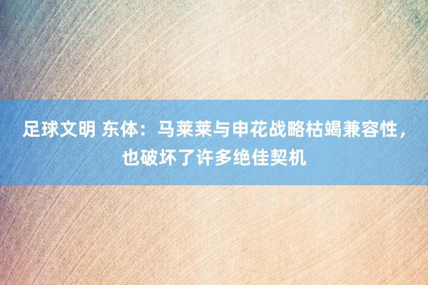 足球文明 东体：马莱莱与申花战略枯竭兼容性，也破坏了许多绝佳契机