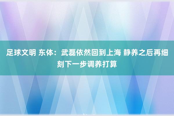 足球文明 东体：武磊依然回到上海 静养之后再细刻下一步调养打算