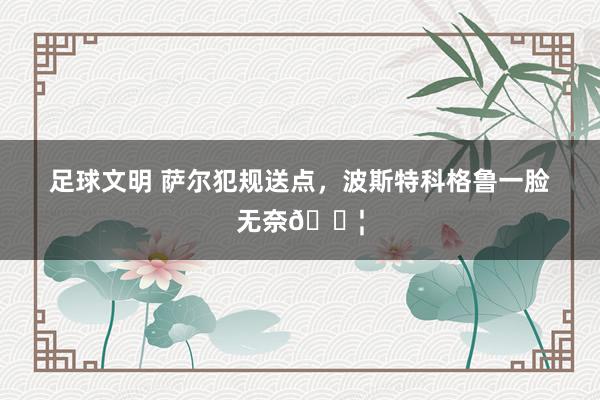 足球文明 萨尔犯规送点，波斯特科格鲁一脸无奈😦