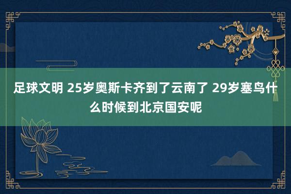 足球文明 25岁奥斯卡齐到了云南了 29岁塞鸟什么时候到北京国安呢